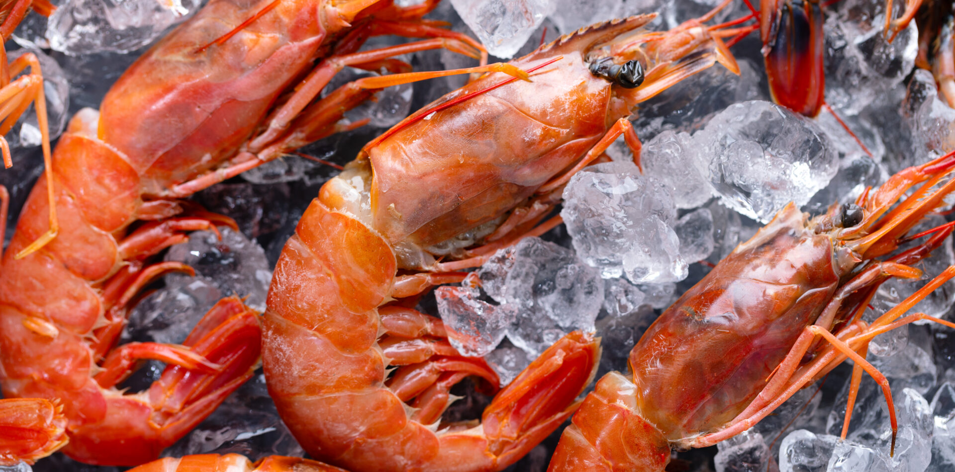 Buzdaki çiğ karidesler